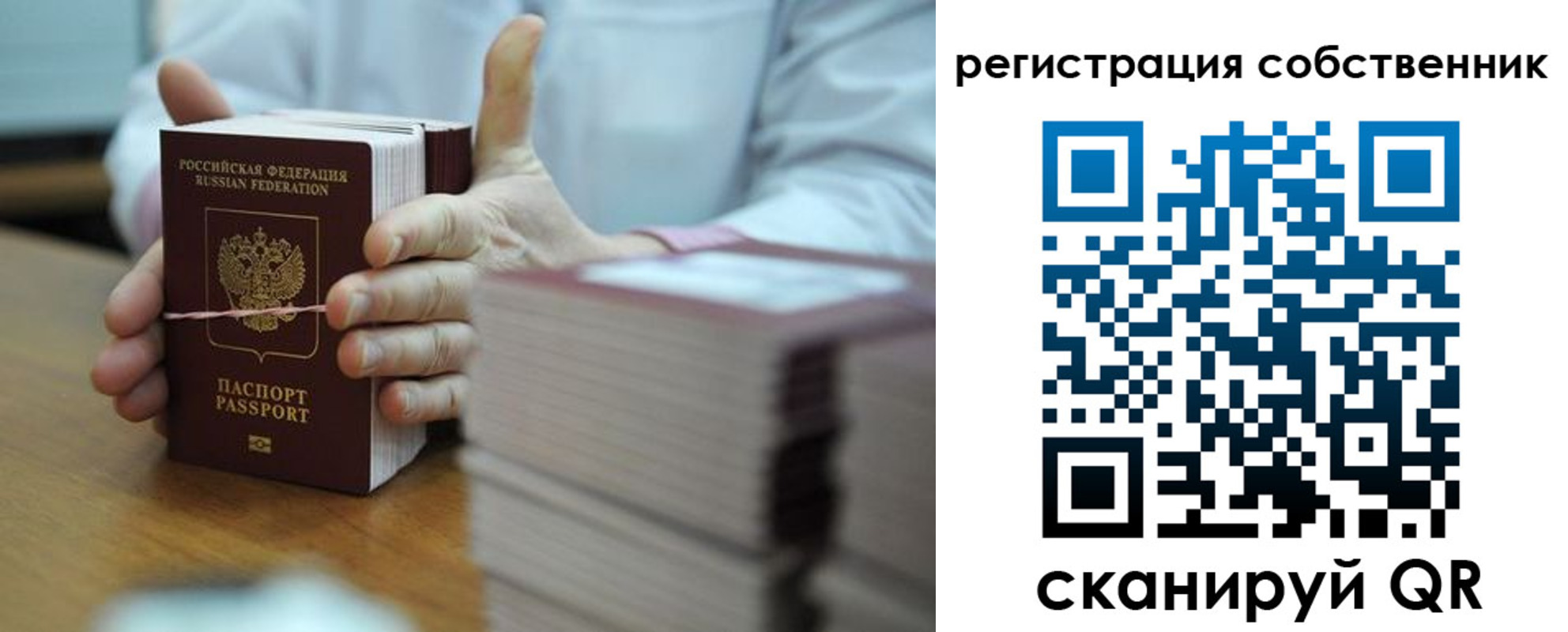 временная регистрация гарантия в Ясном